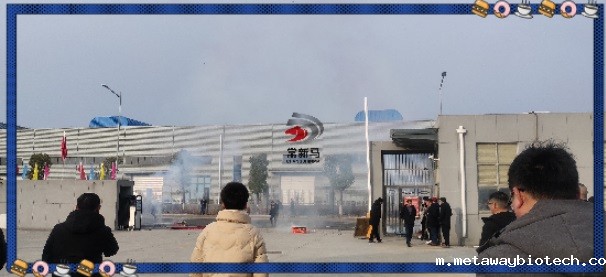 9031675163142814.jpg 华体会pg3.jpg